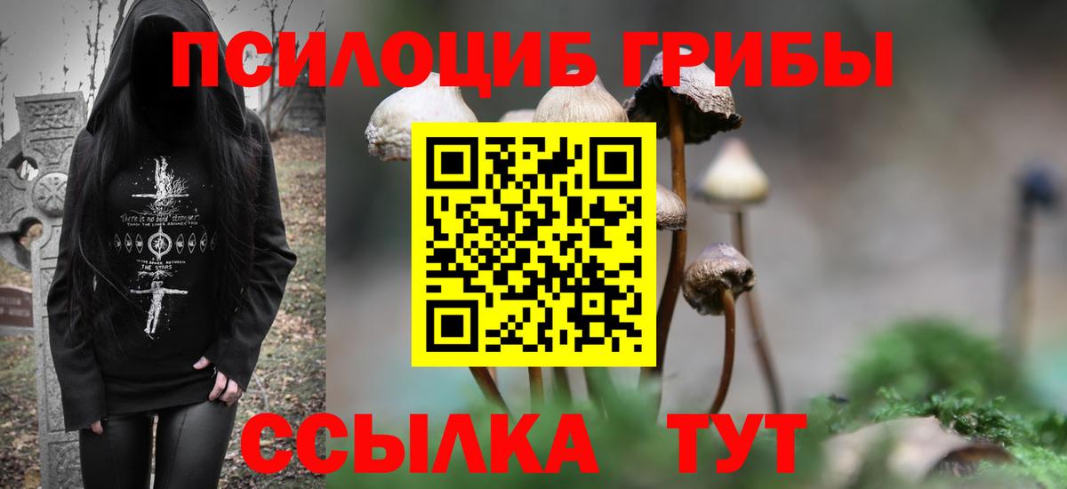 Псилоцибиновые грибы мухоморы  магазин продажи   Мценск 