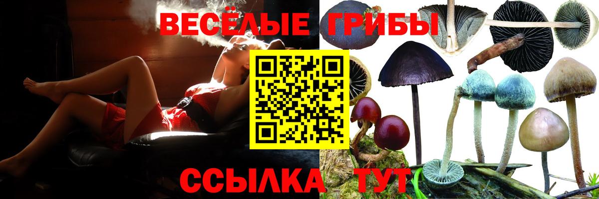 Галлюциногенные грибы GOLDEN TEACHER Мценск
